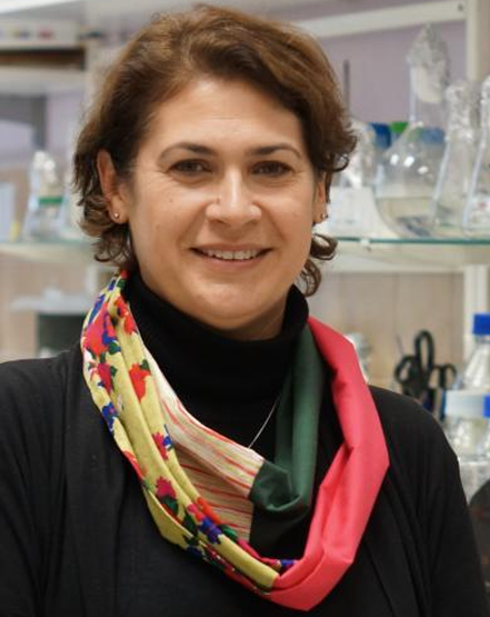 dr Catherine Suski-Grabowski
