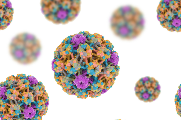 Szybkie wykrywanie sekwencji wirusów HPV