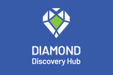 Launch of the Diamond Discovery Hub