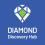 Launch of the Diamond Discovery Hub